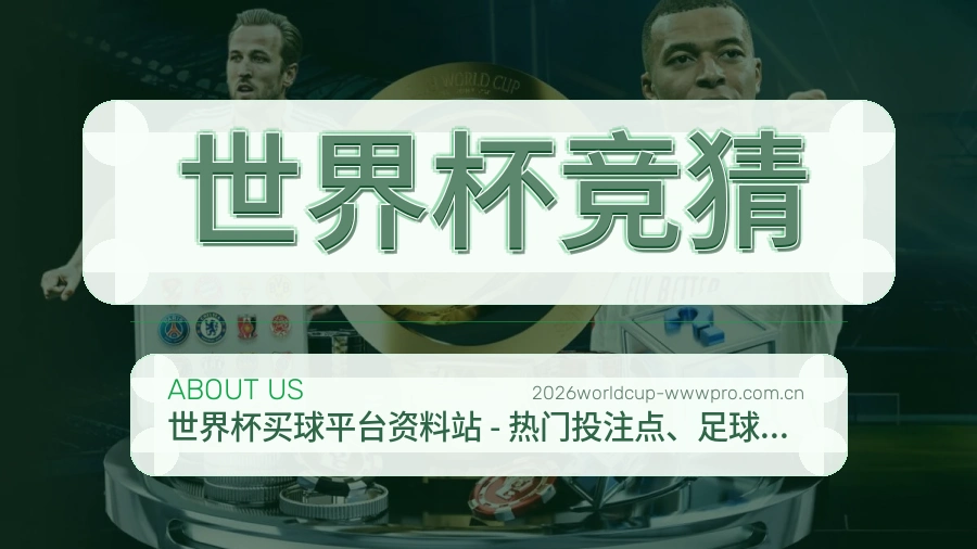 世界杯竞猜回访体验介绍
